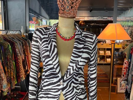 Zebra Ceket Fashion