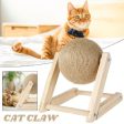 CAT CLAW  BOLA ARRANHADORA Online now