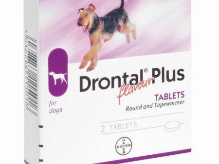 Drontal Plus for Dogs (1 Tablet) For Sale