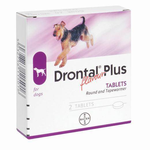 Drontal Plus for Dogs (1 Tablet) For Sale