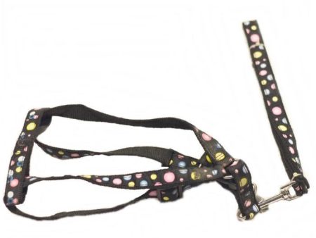 Assorted Multi Colored Harness & Lead for dogs Online