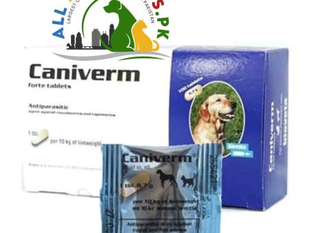 Caniverm Deworming Tablets for Cats & Dogs (01 Tablet) - Effective Treatment for Worm Infestations Sale