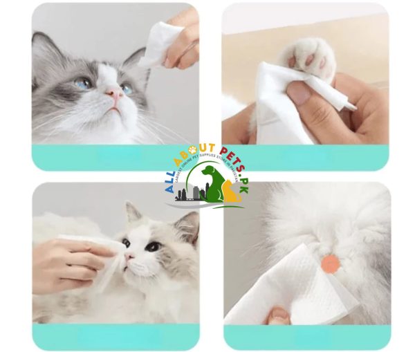 Cat Dog Cleaning Wipes (100 Pieces) - Convenient and Effective Pet Cleaning Solution Online Hot Sale