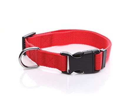 Adjustable Nylon Dog Collars For Discount