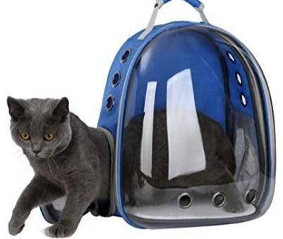 Transparent Cat Carrier Bag Backpack Sale