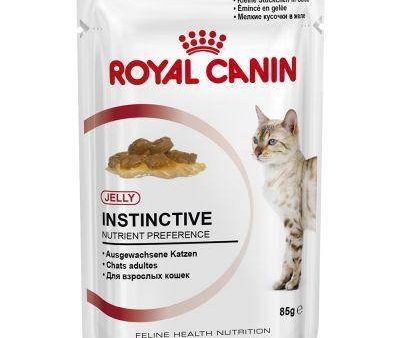 Royal Canin Cat Jelly – Instinctive Adult For Sale