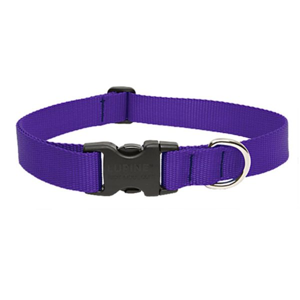 Adjustable Nylon Dog Collars For Discount