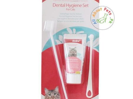 Bioline Dental Care Set For Cats Supply