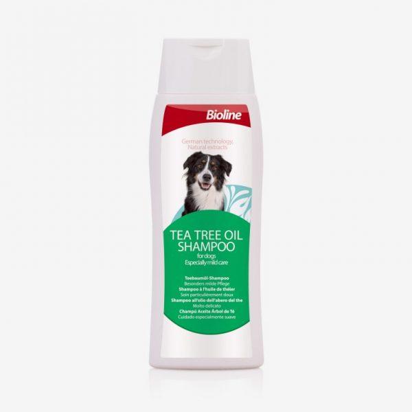 Bioline Tea Tree Oil Shampoo 250ml Online now