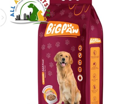 Big PAW Adult Dog Food 3kg Hot on Sale